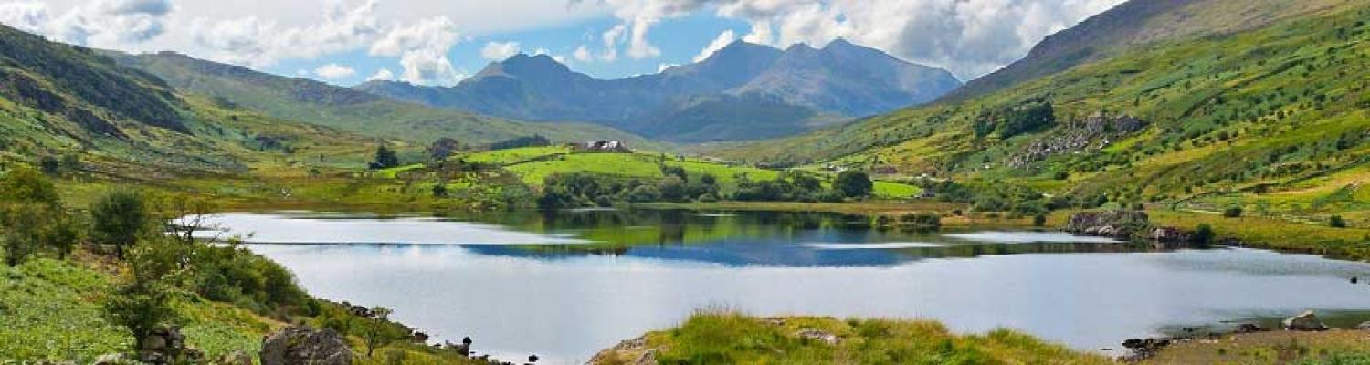 Improve water quality and water resource management