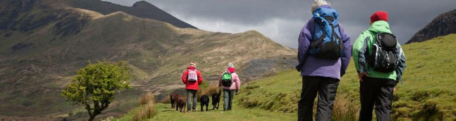 Managing historic landscapes and environment and improving public access to the countryside