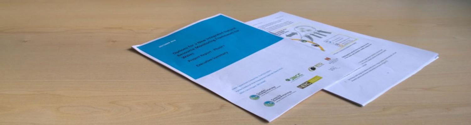 Options for the new integrated Natural Resource Monitoring Framework for Wales